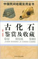 古化石（中国民间收藏实用全书）