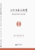 文化与社会转型：理论框架和中国语境