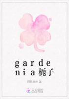 gardenia栀子