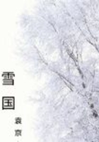 雪国-袁京京版