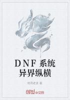 DNF系统异界纵横