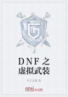 DNF之虚拟武装
